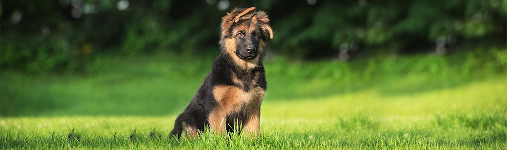 “You get only one chance to make a first impression” – is it really true?