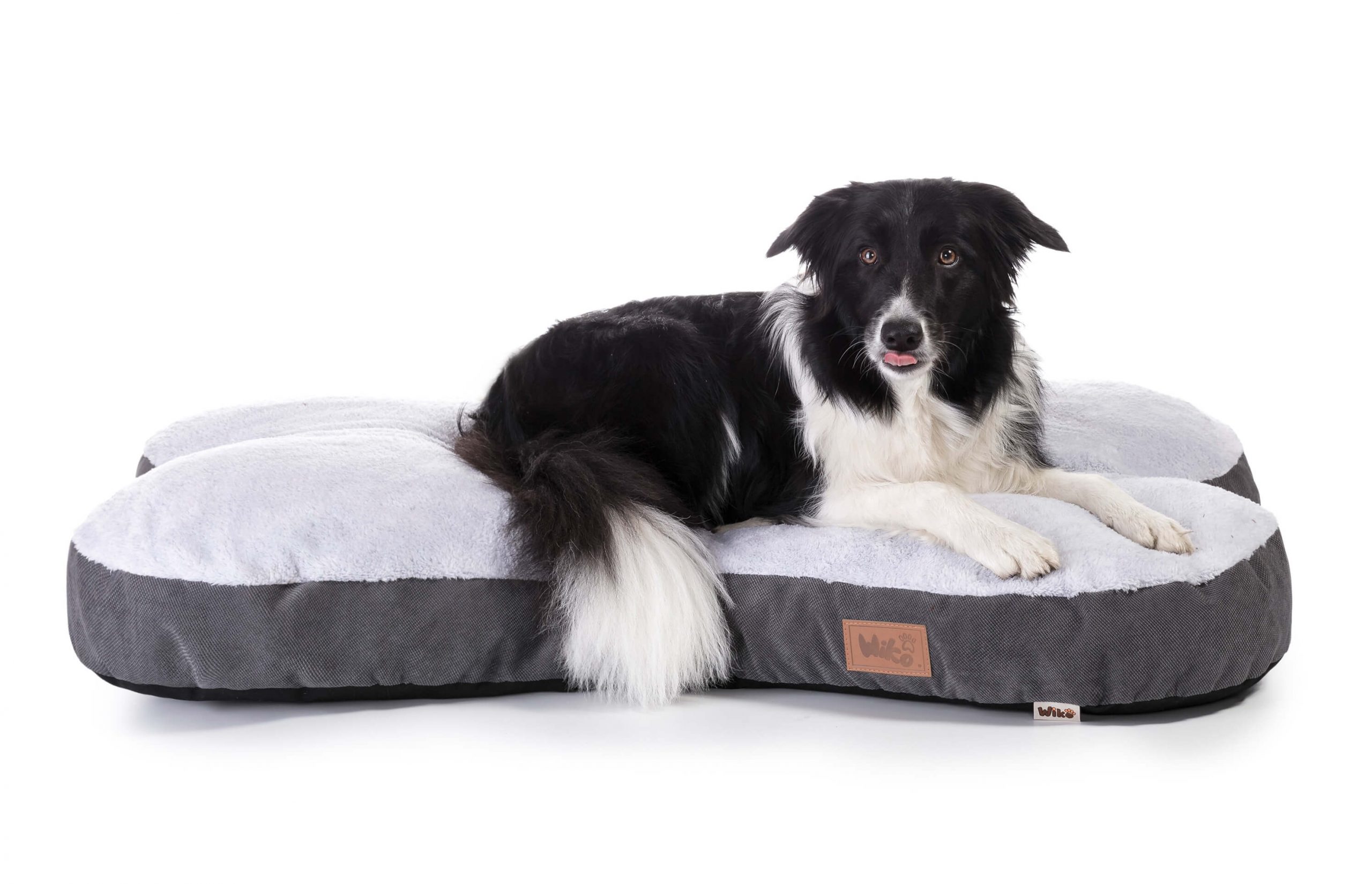 Orthopaedic pet beds. How do they work and when to choose them?